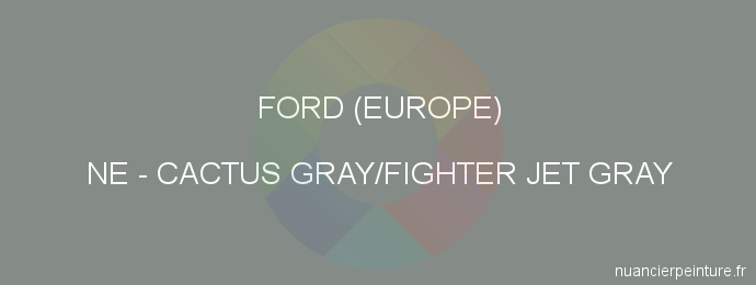 Peinture Ford (europe) NE Cactus Gray/fighter Jet Gray