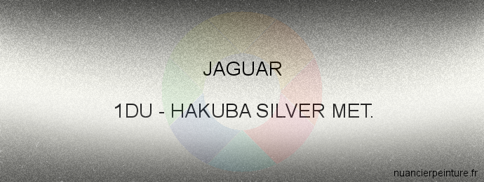 Peinture Jaguar 1DU Hakuba Silver Met.