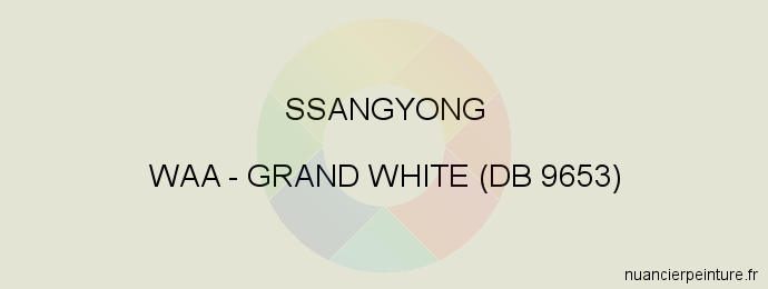 Peinture Ssangyong WAA Grand White (db 9653)