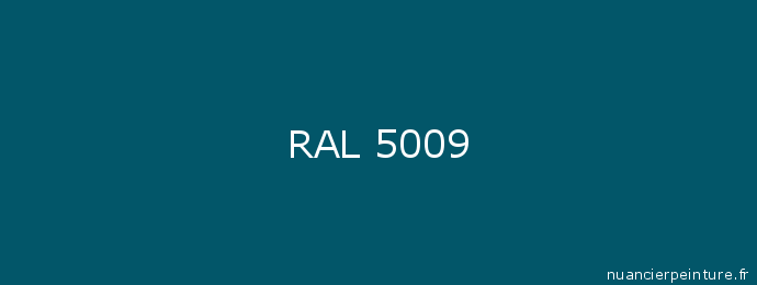 P bleu de prusse RAL 5009 - AMI